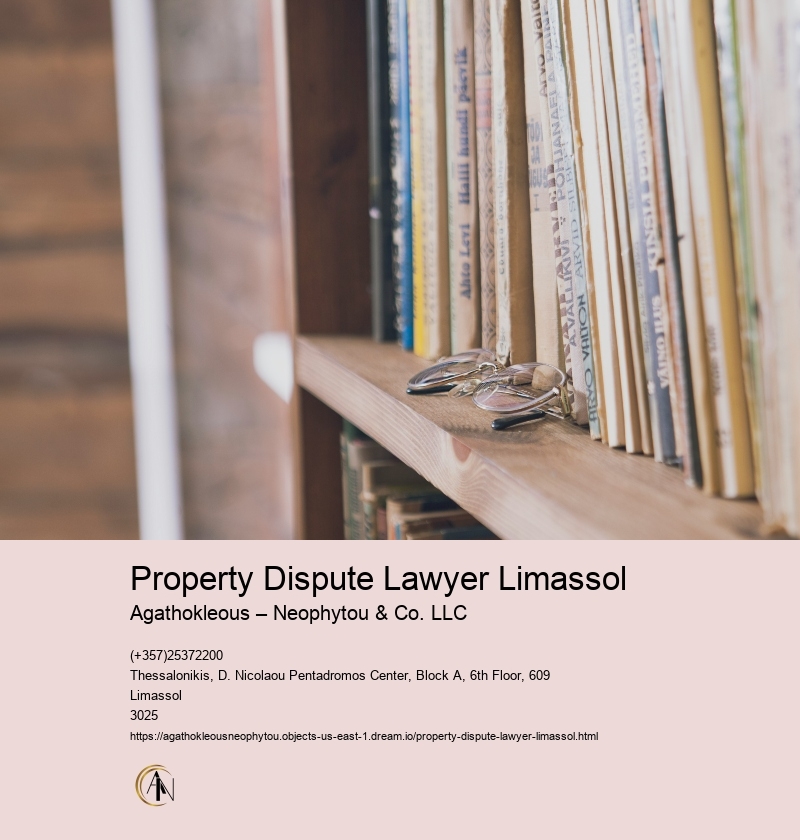 Property Dispute Lawyer Limassol